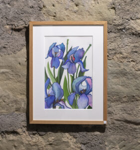 Iris Blau Set, acuarela botánica original