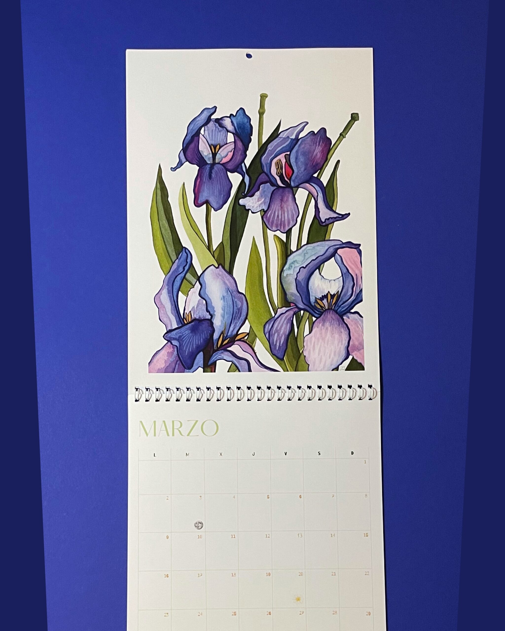 Calendario 2026 - Imagen 4